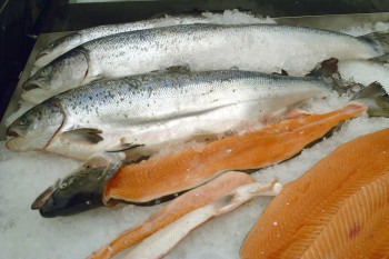 best fish oils are salmon wild caught