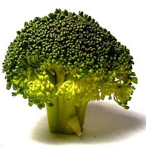 Broccoli