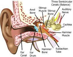 Best treatment for Tinnitus